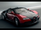 Bugatti Veyron Study-2